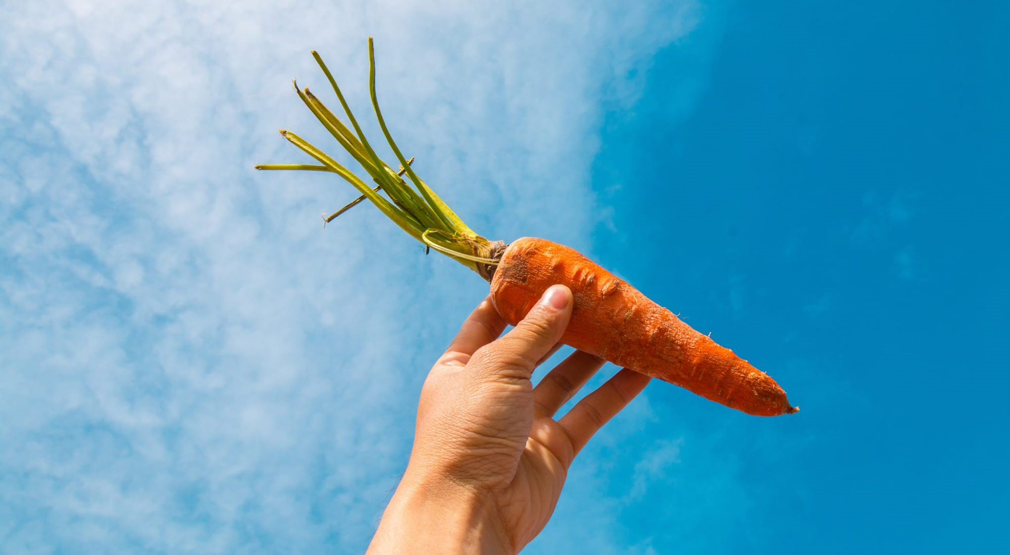 alimentos para la piel